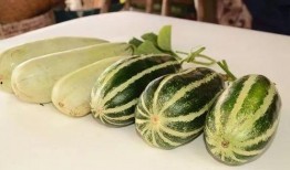 百万网红让我吃瓜,揭秘“吃瓜”背后的网络狂欢